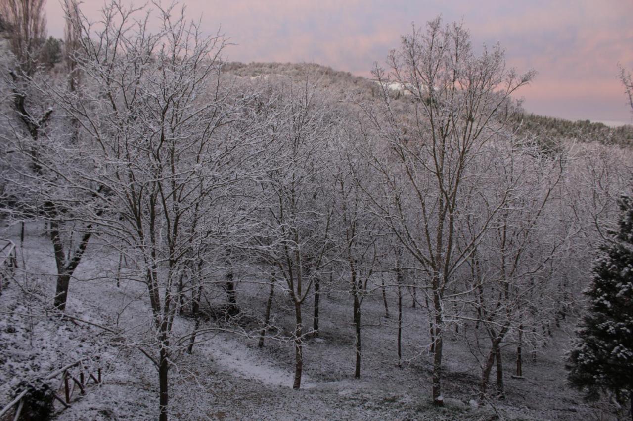 Bed and breakfast Altra Meta Gubbio